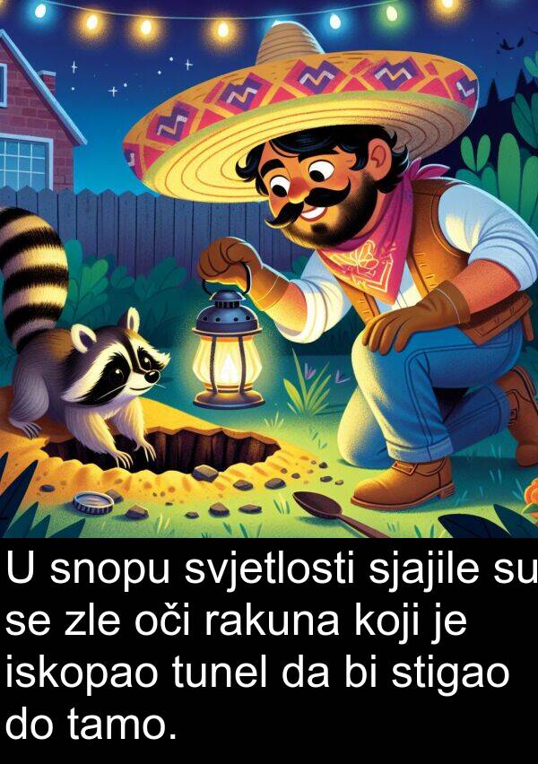 iskopao: U snopu svjetlosti sjajile su se zle oči rakuna koji je iskopao tunel da bi stigao do tamo.