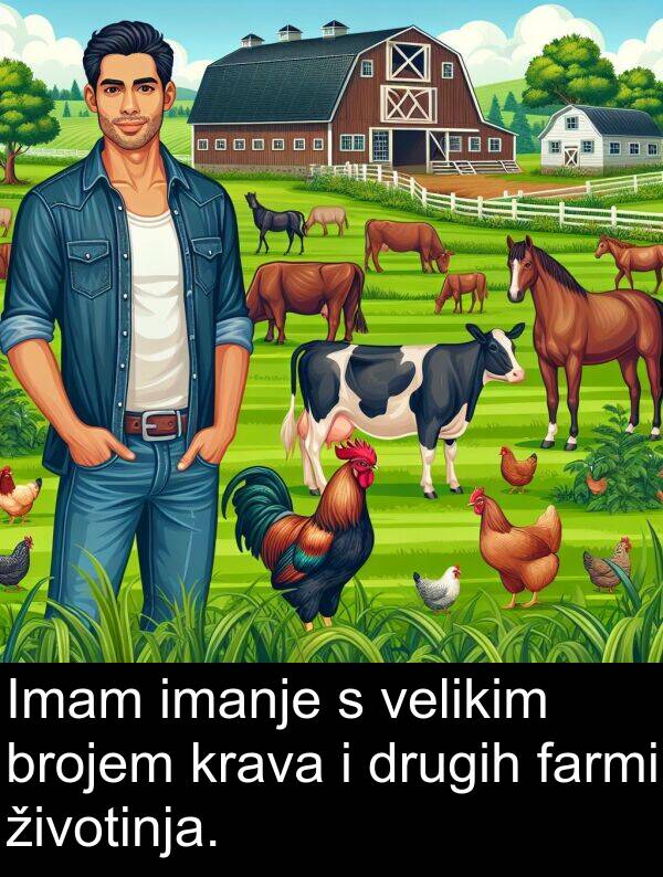 imanje: Imam imanje s velikim brojem krava i drugih farmi životinja.
