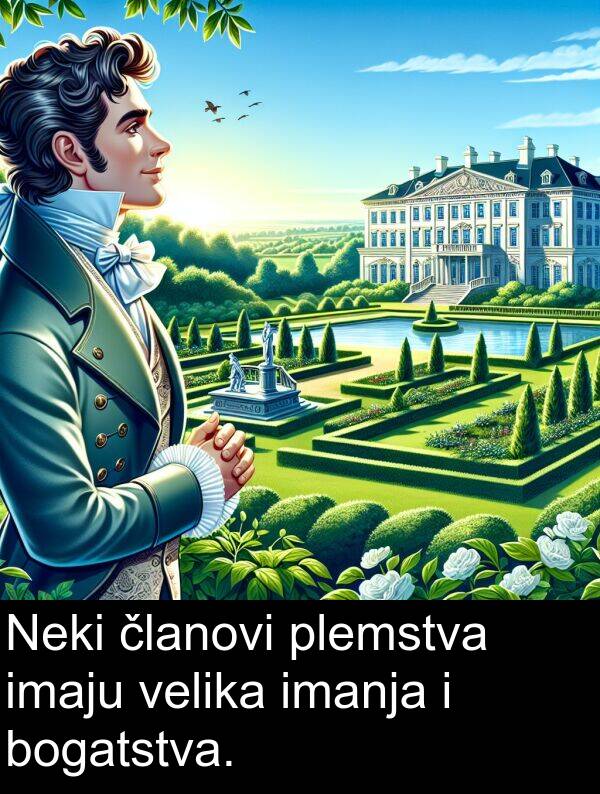 bogatstva: Neki članovi plemstva imaju velika imanja i bogatstva.