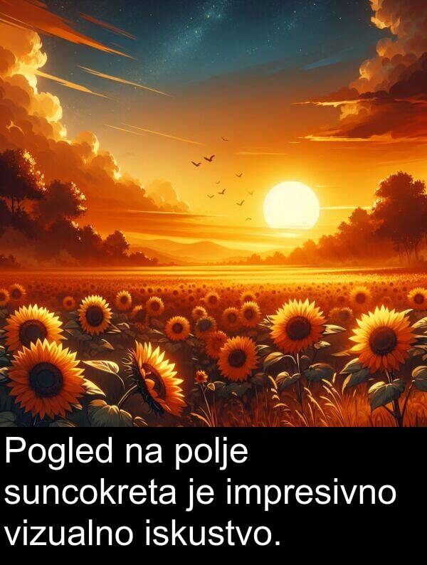 impresivno: Pogled na polje suncokreta je impresivno vizualno iskustvo.