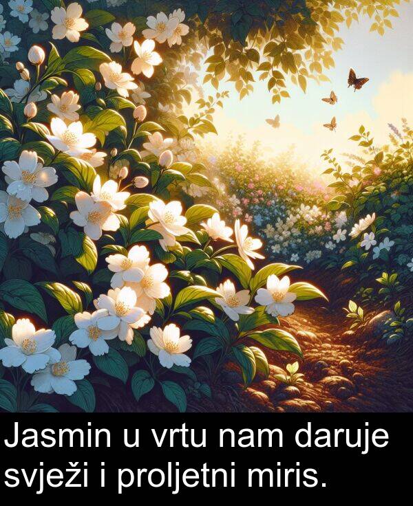 daruje: Jasmin u vrtu nam daruje svježi i proljetni miris.