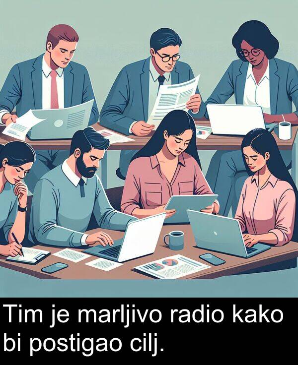 cilj: Tim je marljivo radio kako bi postigao cilj.