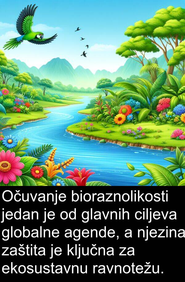 agende: Očuvanje bioraznolikosti jedan je od glavnih ciljeva globalne agende, a njezina zaštita je ključna za ekosustavnu ravnotežu.