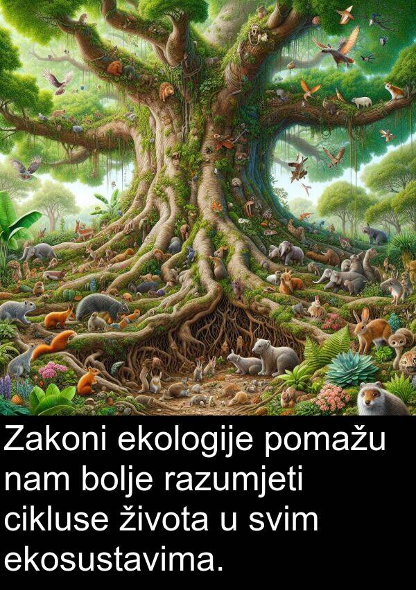 cikluse: Zakoni ekologije pomažu nam bolje razumjeti cikluse života u svim ekosustavima.