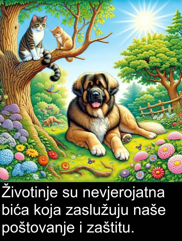 bića: Životinje su nevjerojatna bića koja zaslužuju naše poštovanje i zaštitu.