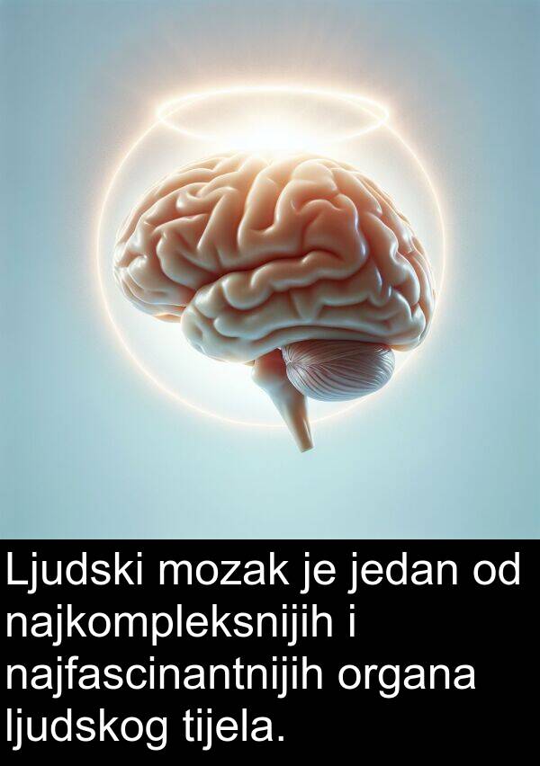 tijela: Ljudski mozak je jedan od najkompleksnijih i najfascinantnijih organa ljudskog tijela.