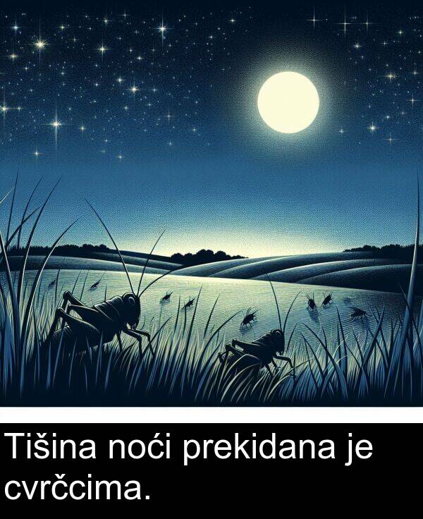 cvrčcima: Tišina noći prekidana je cvrčcima.