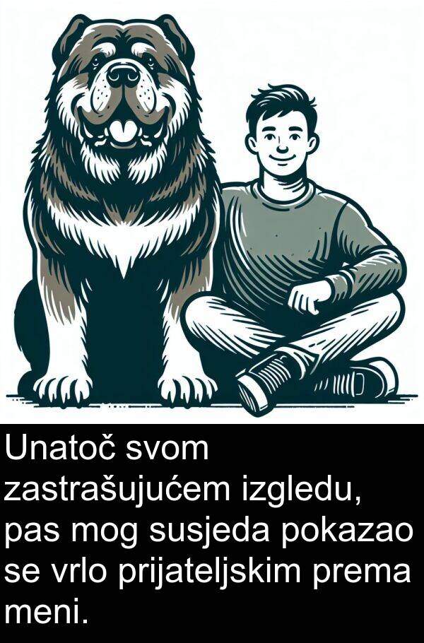 zastrašujućem: Unatoč svom zastrašujućem izgledu, pas mog susjeda pokazao se vrlo prijateljskim prema meni.