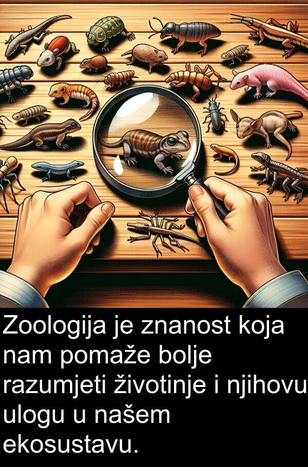 našem: Zoologija je znanost koja nam pomaže bolje razumjeti životinje i njihovu ulogu u našem ekosustavu.