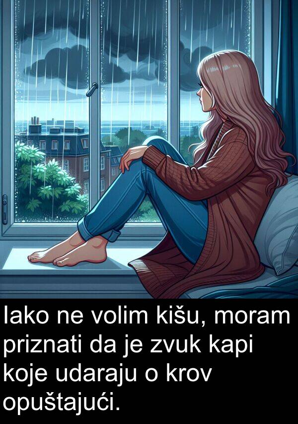 kapi: Iako ne volim kišu, moram priznati da je zvuk kapi koje udaraju o krov opuštajući.