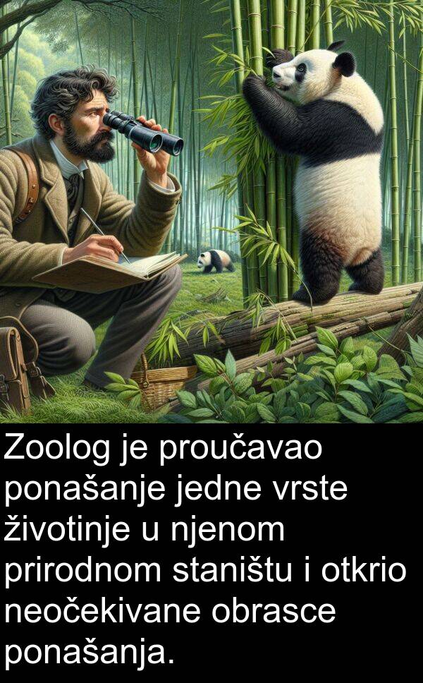 staništu: Zoolog je proučavao ponašanje jedne vrste životinje u njenom prirodnom staništu i otkrio neočekivane obrasce ponašanja.