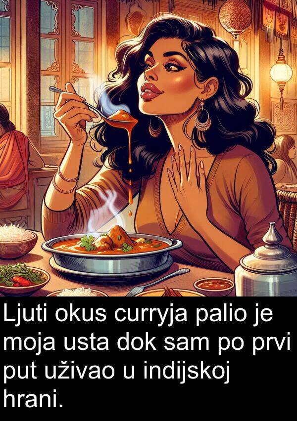 palio: Ljuti okus curryja palio je moja usta dok sam po prvi put uživao u indijskoj hrani.