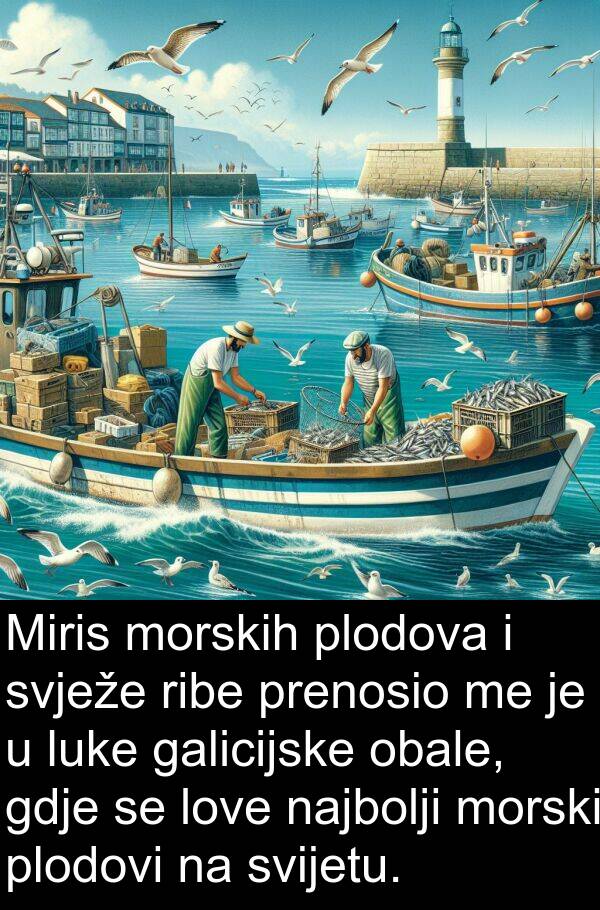 najbolji: Miris morskih plodova i svježe ribe prenosio me je u luke galicijske obale, gdje se love najbolji morski plodovi na svijetu.