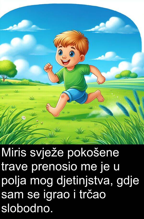 djetinjstva: Miris svježe pokošene trave prenosio me je u polja mog djetinjstva, gdje sam se igrao i trčao slobodno.