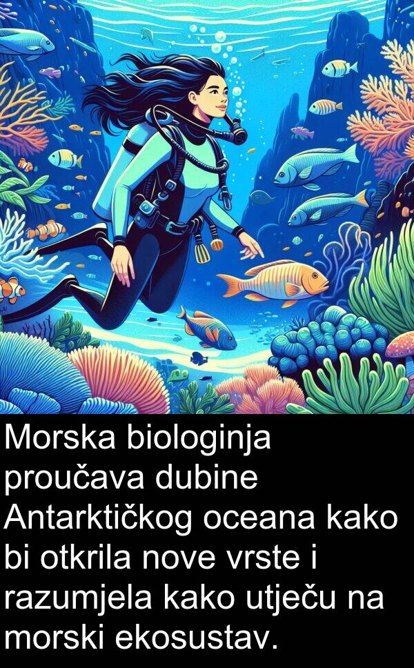 nove: Morska biologinja proučava dubine Antarktičkog oceana kako bi otkrila nove vrste i razumjela kako utječu na morski ekosustav.