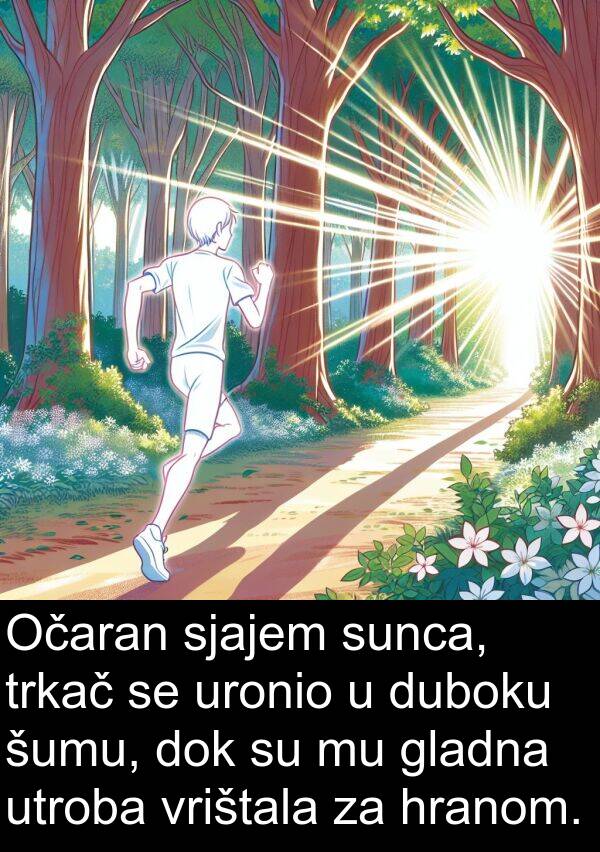 hranom: Očaran sjajem sunca, trkač se uronio u duboku šumu, dok su mu gladna utroba vrištala za hranom.