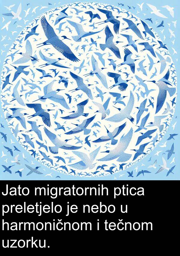 nebo: Jato migratornih ptica preletjelo je nebo u harmoničnom i tečnom uzorku.