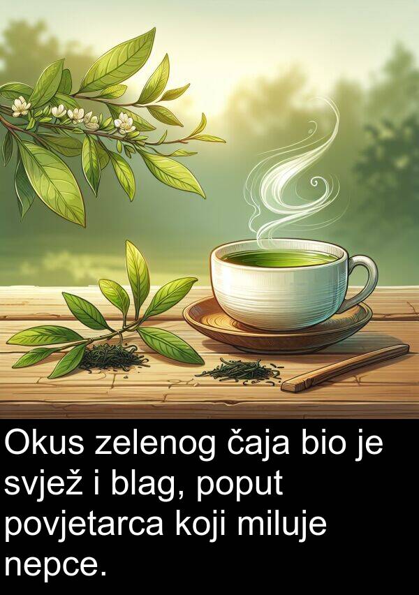blag: Okus zelenog čaja bio je svjež i blag, poput povjetarca koji miluje nepce.
