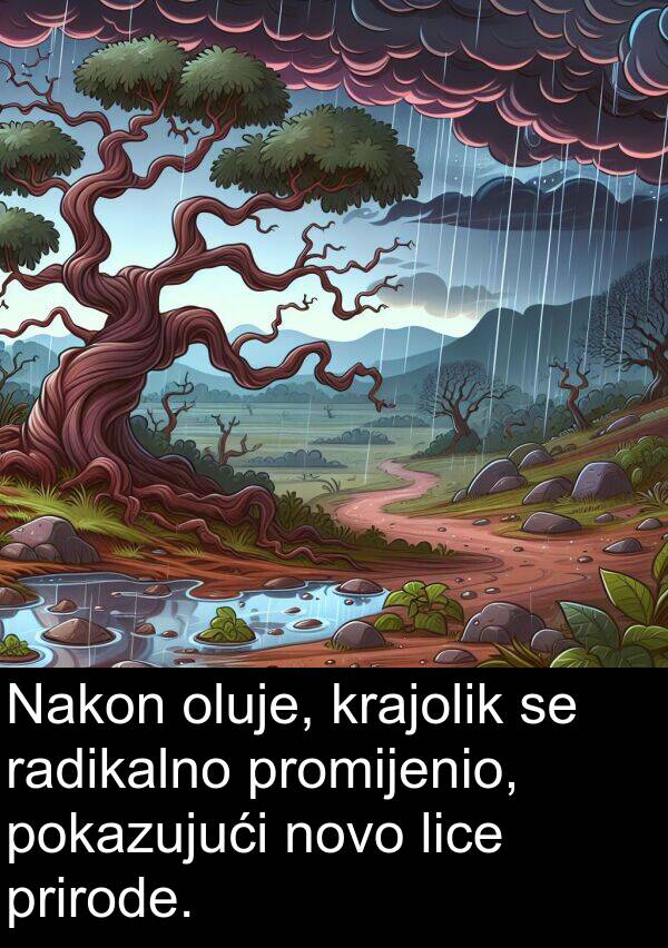oluje: Nakon oluje, krajolik se radikalno promijenio, pokazujući novo lice prirode.