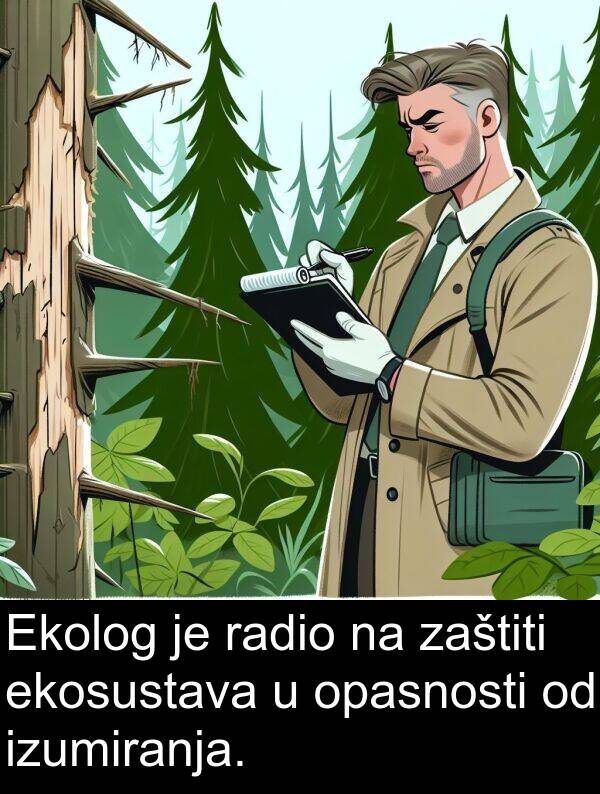 ekosustava: Ekolog je radio na zaštiti ekosustava u opasnosti od izumiranja.