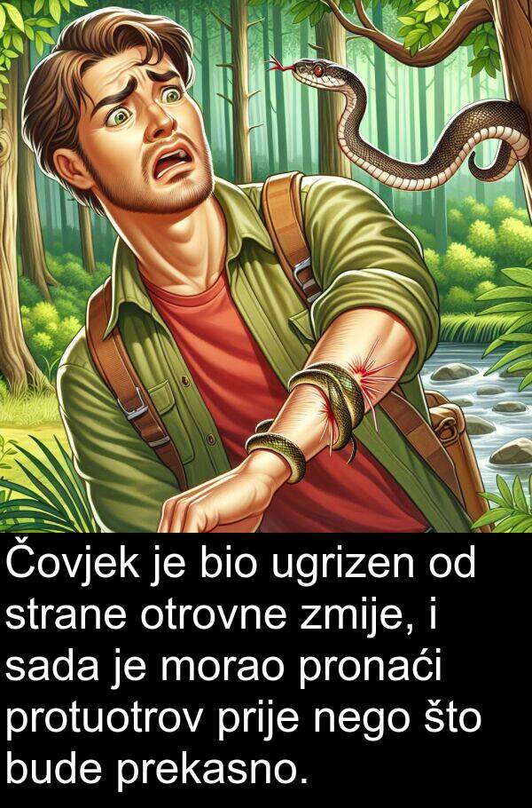 ugrizen: Čovjek je bio ugrizen od strane otrovne zmije, i sada je morao pronaći protuotrov prije nego što bude prekasno.