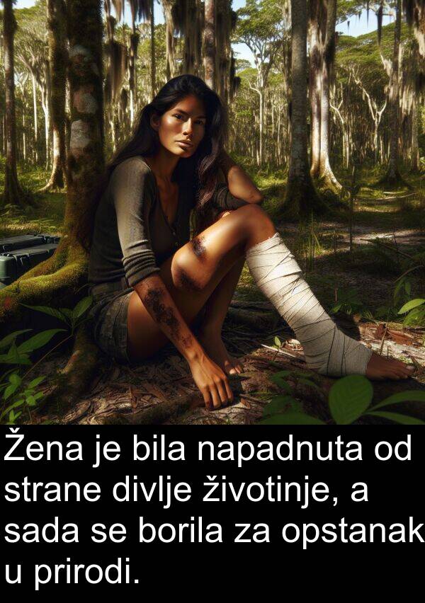 divlje: Žena je bila napadnuta od strane divlje životinje, a sada se borila za opstanak u prirodi.