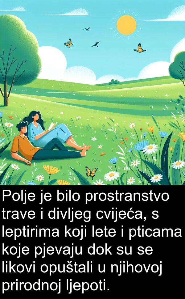 divljeg: Polje je bilo prostranstvo trave i divljeg cvijeća, s leptirima koji lete i pticama koje pjevaju dok su se likovi opuštali u njihovoj prirodnoj ljepoti.