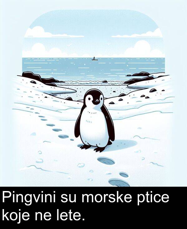 koje: Pingvini su morske ptice koje ne lete.