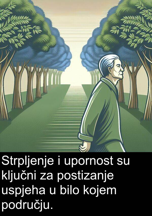 ključni: Strpljenje i upornost su ključni za postizanje uspjeha u bilo kojem području.