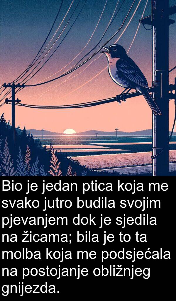 pjevanjem: Bio je jedan ptica koja me svako jutro budila svojim pjevanjem dok je sjedila na žicama; bila je to ta molba koja me podsjećala na postojanje obližnjeg gnijezda.