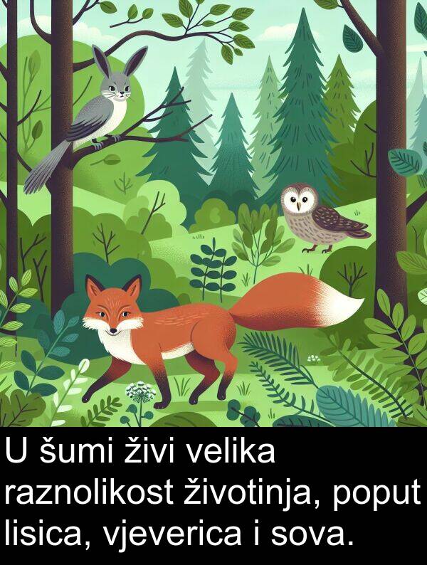 raznolikost: U šumi živi velika raznolikost životinja, poput lisica, vjeverica i sova.