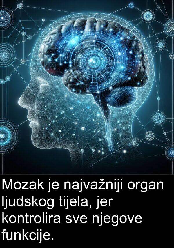 tijela: Mozak je najvažniji organ ljudskog tijela, jer kontrolira sve njegove funkcije.