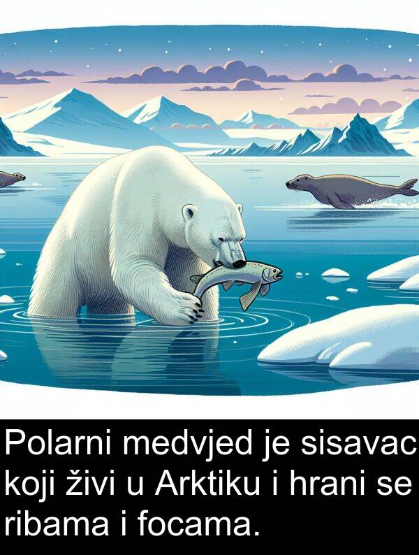 hrani: Polarni medvjed je sisavac koji živi u Arktiku i hrani se ribama i focama.