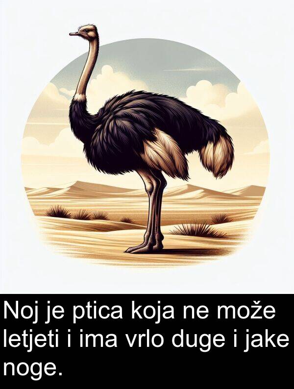 noge: Noj je ptica koja ne može letjeti i ima vrlo duge i jake noge.