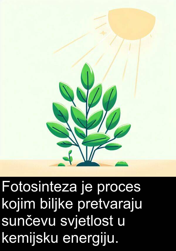 biljke: Fotosinteza je proces kojim biljke pretvaraju sunčevu svjetlost u kemijsku energiju.