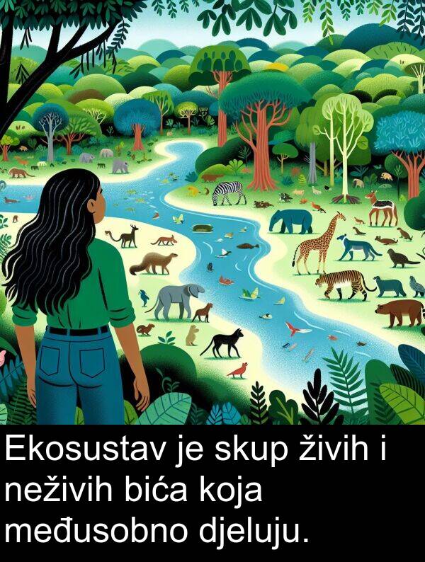 bića: Ekosustav je skup živih i neživih bića koja međusobno djeluju.
