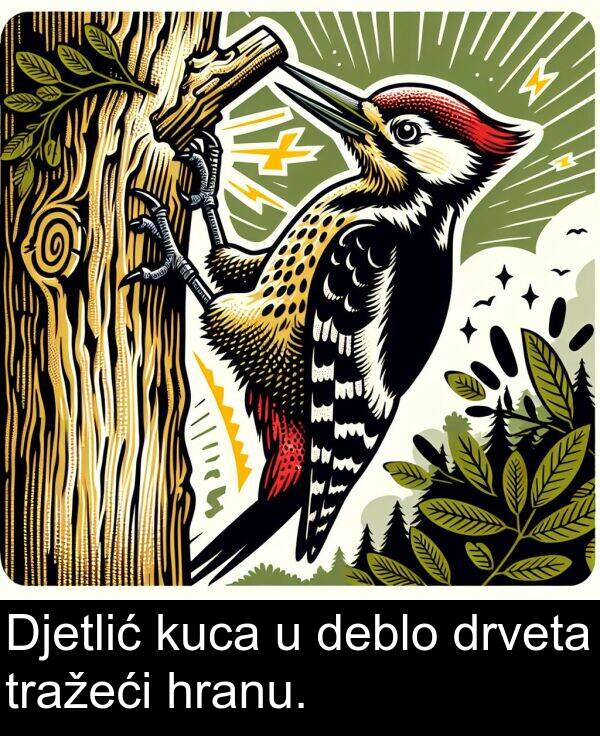 deblo: Djetlić kuca u deblo drveta tražeći hranu.