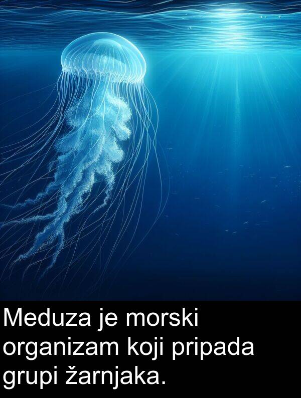 žarnjaka: Meduza je morski organizam koji pripada grupi žarnjaka.