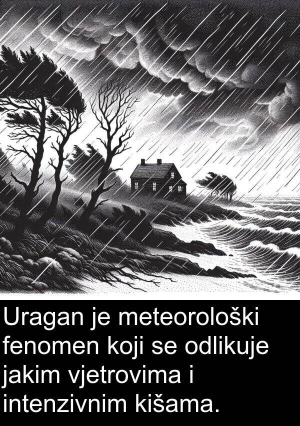 odlikuje: Uragan je meteorološki fenomen koji se odlikuje jakim vjetrovima i intenzivnim kišama.