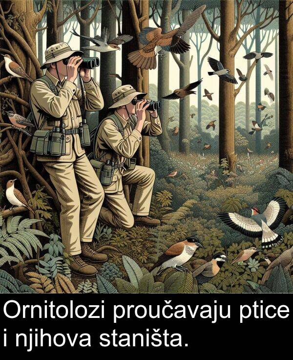 njihova: Ornitolozi proučavaju ptice i njihova staništa.