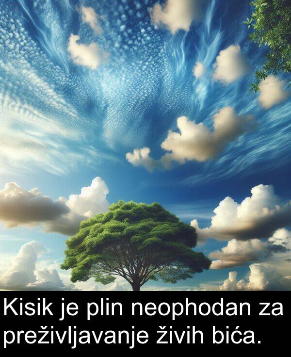 bića: Kisik je plin neophodan za preživljavanje živih bića.