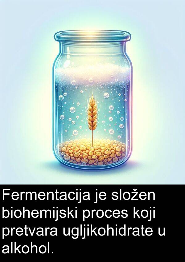 alkohol: Fermentacija je složen biohemijski proces koji pretvara ugljikohidrate u alkohol.