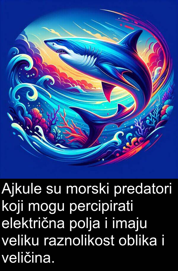 veličina: Ajkule su morski predatori koji mogu percipirati električna polja i imaju veliku raznolikost oblika i veličina.