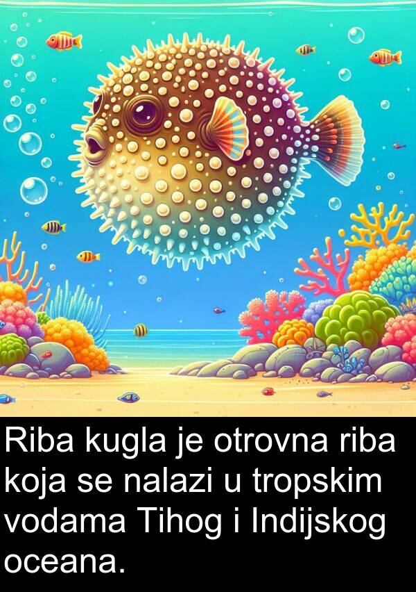 nalazi: Riba kugla je otrovna riba koja se nalazi u tropskim vodama Tihog i Indijskog oceana.