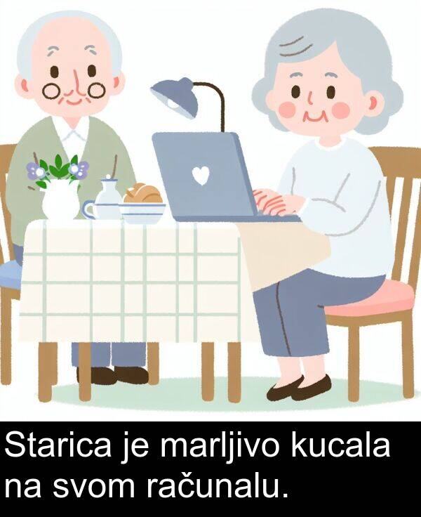 računalu: Starica je marljivo kucala na svom računalu.