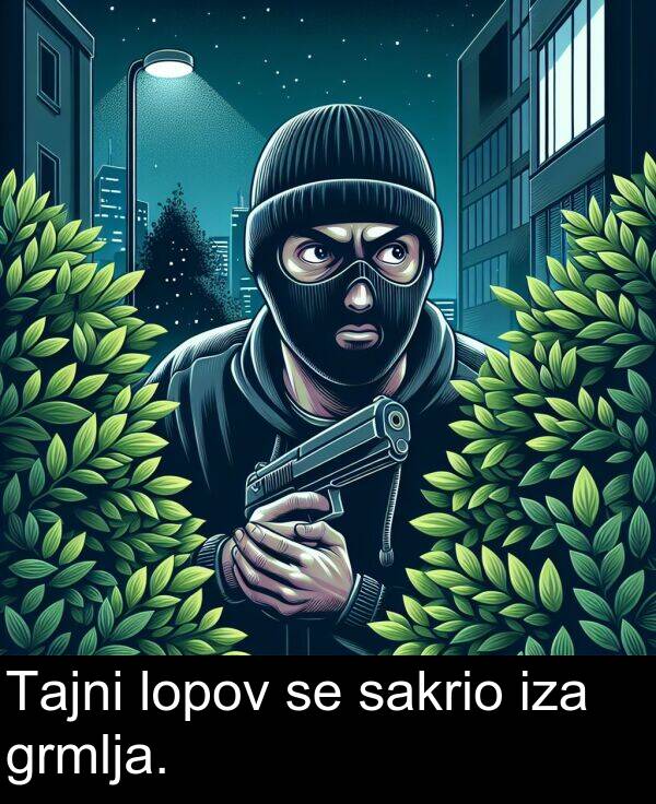 iza: Tajni lopov se sakrio iza grmlja.