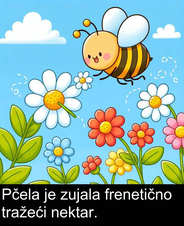 frenetično: Pčela je zujala frenetično tražeći nektar.
