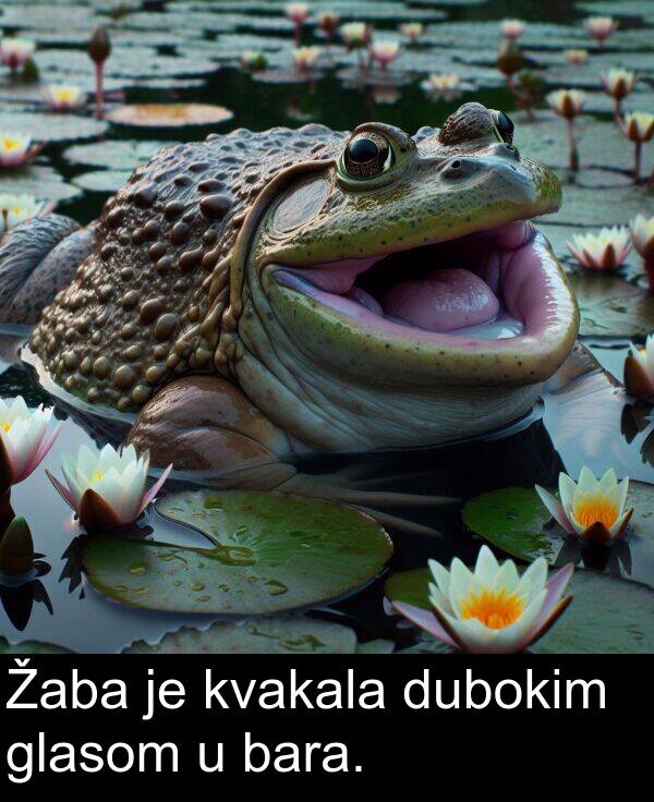 bara: Žaba je kvakala dubokim glasom u bara.