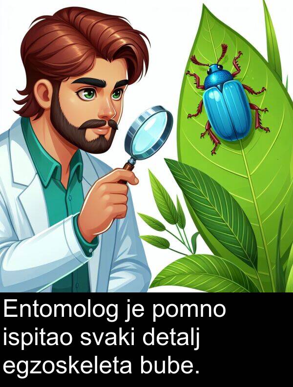 ispitao: Entomolog je pomno ispitao svaki detalj egzoskeleta bube.