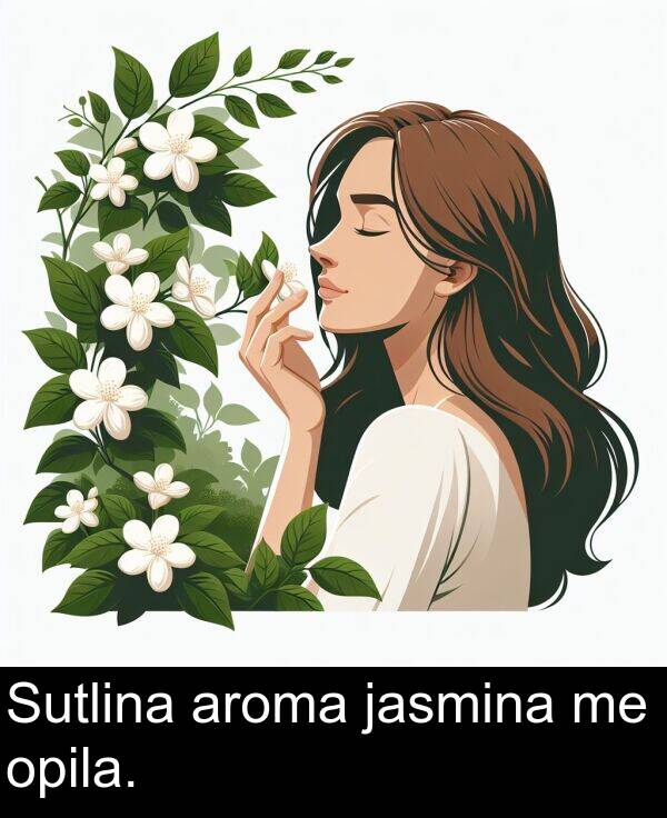 aroma: Sutlina aroma jasmina me opila.
